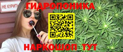 шишки Донецк