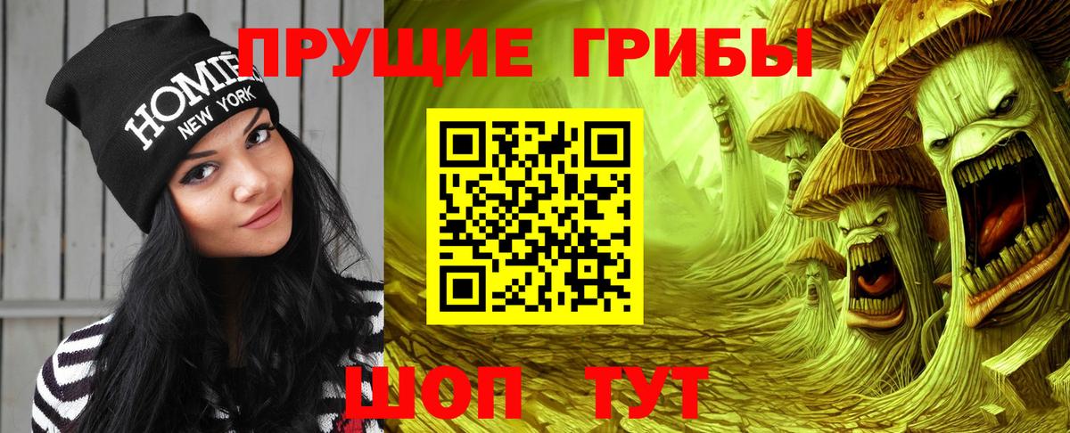 Галлюциногенные грибы Psilocybine cubensis  Вход с VPN  Камышин 