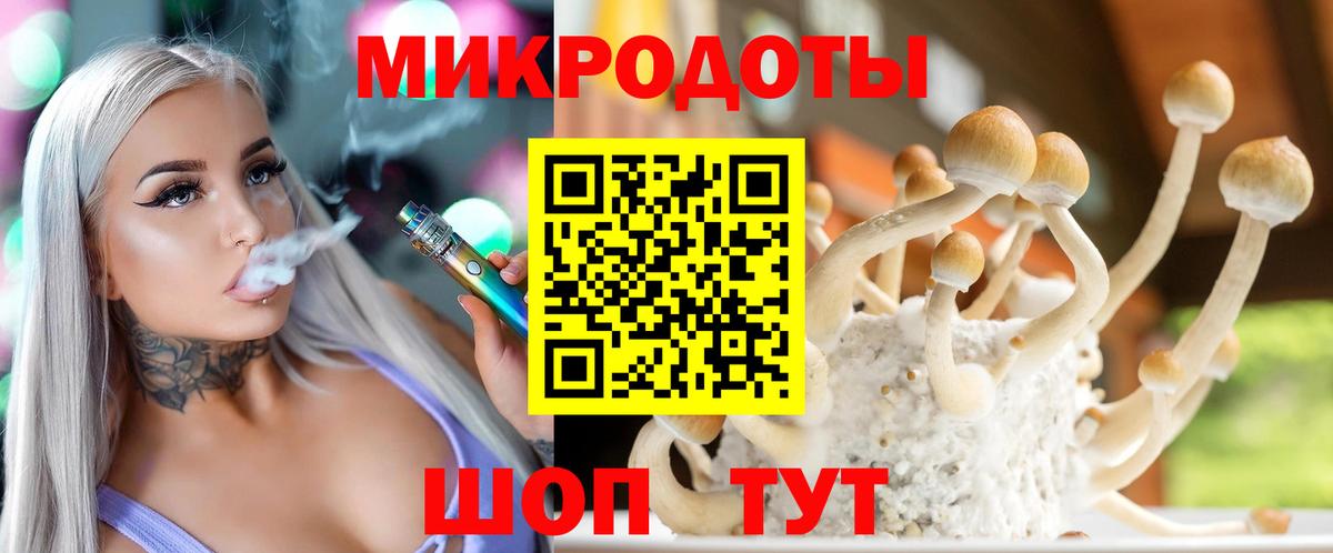 Галлюциногенные грибы мухоморы Камышин